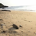 PICT0161.JPG