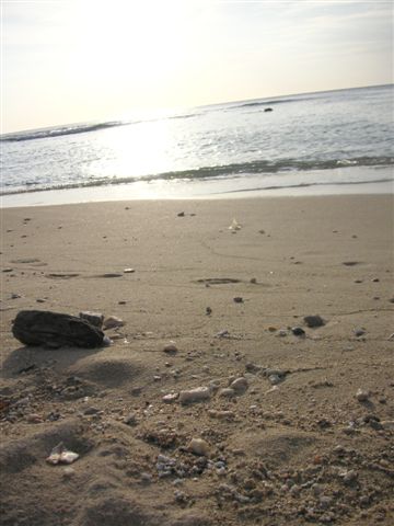 PICT0164.JPG