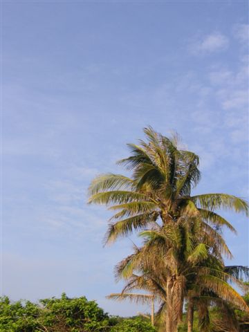 PICT0179.JPG