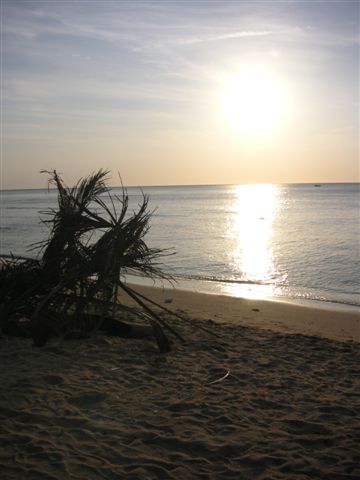 PICT0186.JPG