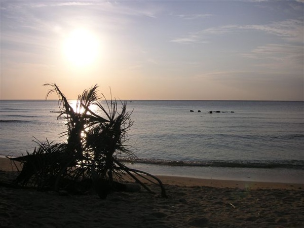 PICT0190.JPG