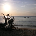 PICT0190.JPG