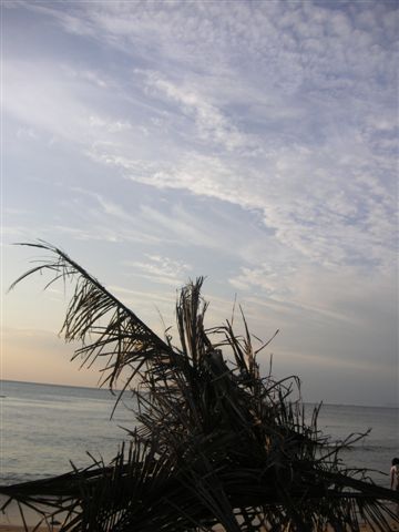 PICT0198.JPG