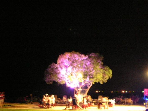 PICT0241.JPG