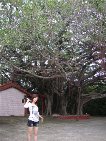 PICT0298.JPG