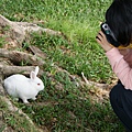 DSC07432.JPG