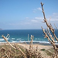 P1010188.JPG