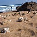 P1010226.JPG