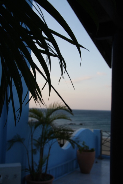IMG_6573.jpg