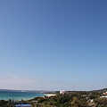 IMG_6575.jpg