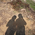 IMG_6593.jpg