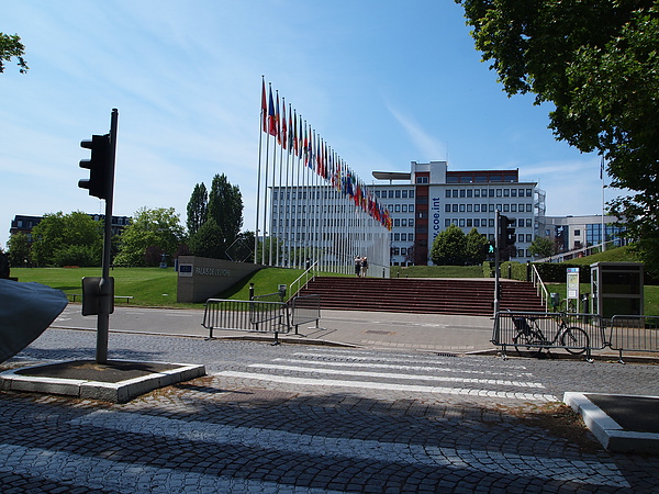P6252656.JPG