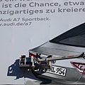 PA264648.JPG