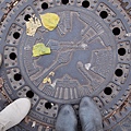 PA284872.JPG