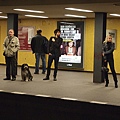 PA274793.JPG
