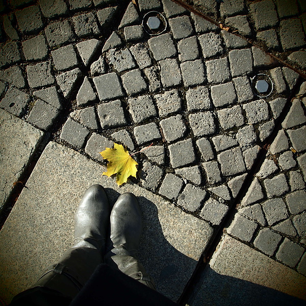 PA264579.JPG