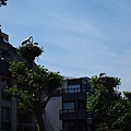 P6252654.JPG
