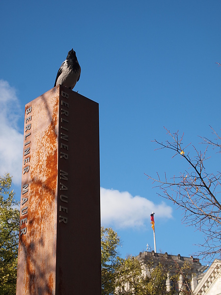 PA264551.JPG