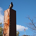 PA264551.JPG