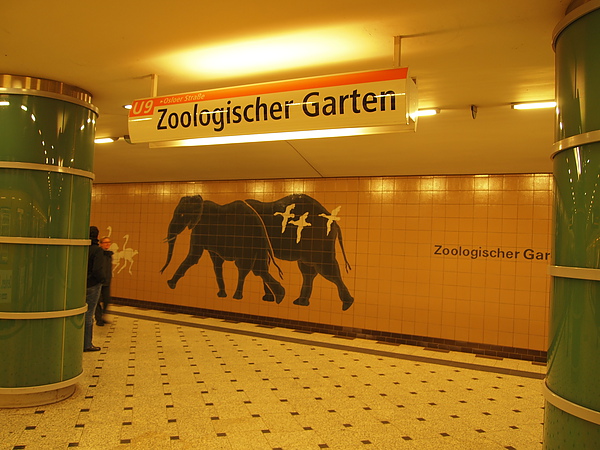 PA294878.JPG