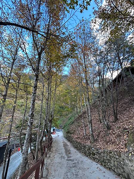 [ 司馬庫斯民宿] 司馬庫斯-嚒得歲莊園/司馬庫斯小木屋/上