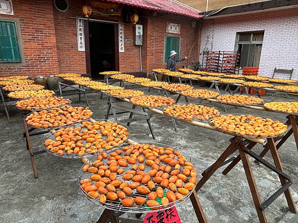 [新埔柿園]味衛佳柿餅教育農園/新竹柿子觀光工廠/新竹曬柿餅