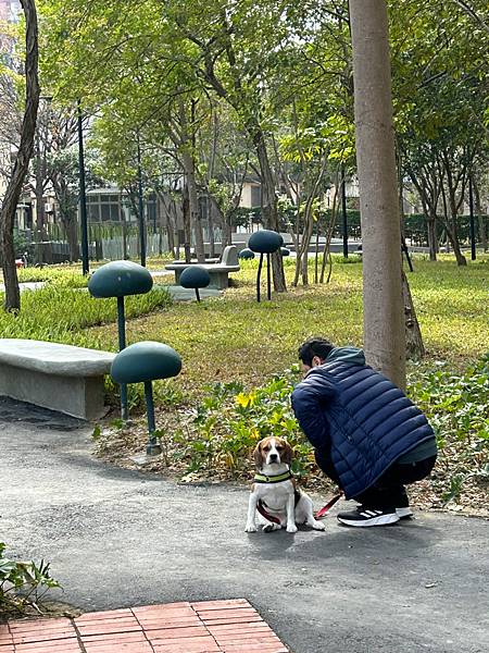 [新竹公園]長春公園/關埔區公園/2024年新公園/竹科園區