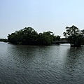 IMG_0882.JPG