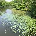 IMG_0884.JPG