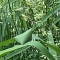 IMG_0899.JPG