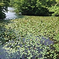 IMG_0907.JPG