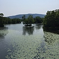 IMG_0909.JPG