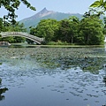 IMG_0916.JPG