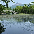 IMG_0917.JPG