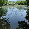 IMG_0918.JPG