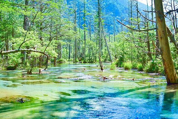日本山岳風景聖地「上高地」20230819〜0825日本行7