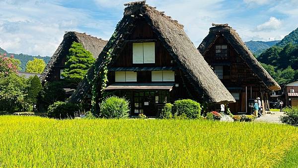合掌村-聯合國教科文組織世界遺產