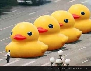 黃色小鴨 黃色小鴨