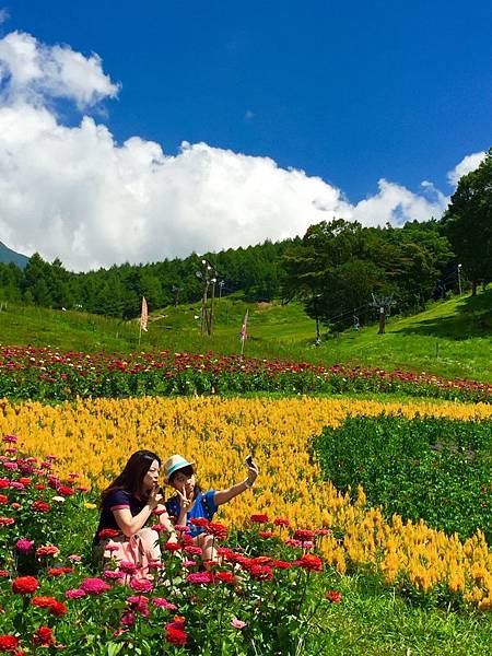 花之里M1.jpg 花之里M1.jpg