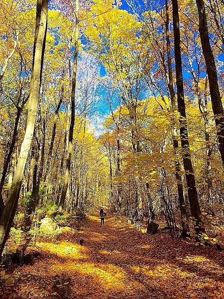 Louis Lake Park