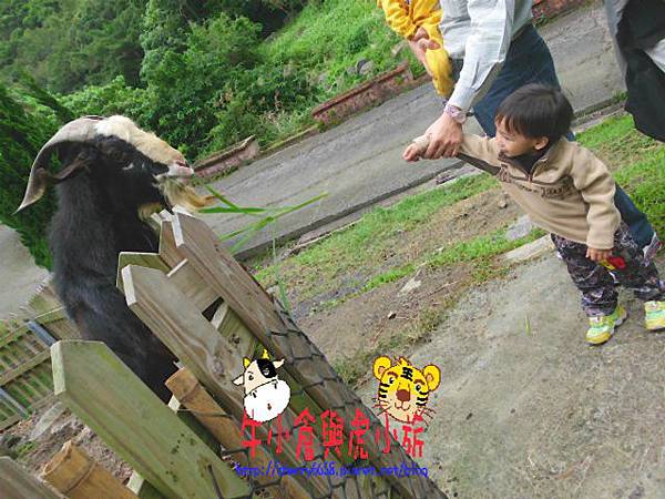 北關農場 (33).JPG