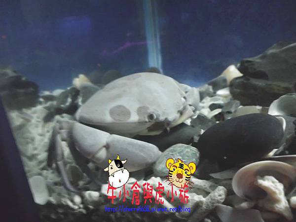 北關農場-生態區 (117).JPG