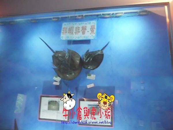 北關農場-標本區 (111).JPG