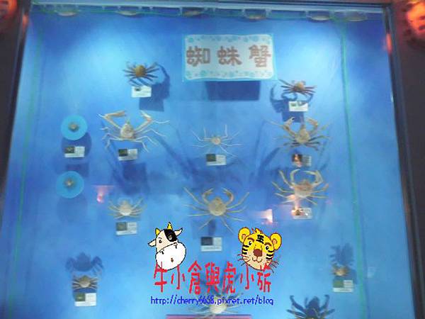 北關農場-標本區 (123).JPG