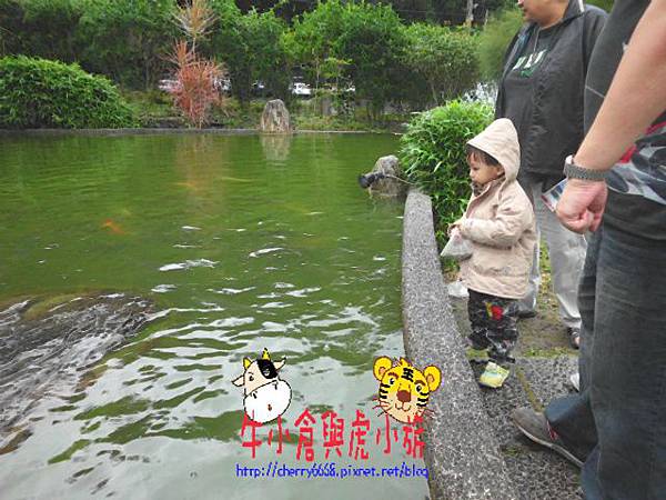 北關農場 (1).JPG