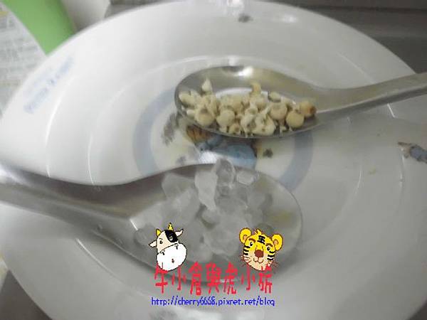 冰糖燉梨子 (4).JPG