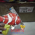 佳發玩具批發 (20)