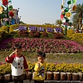 SAM_3870