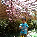 和果子 (10).JPG
