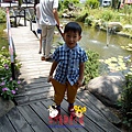 SAM_8416